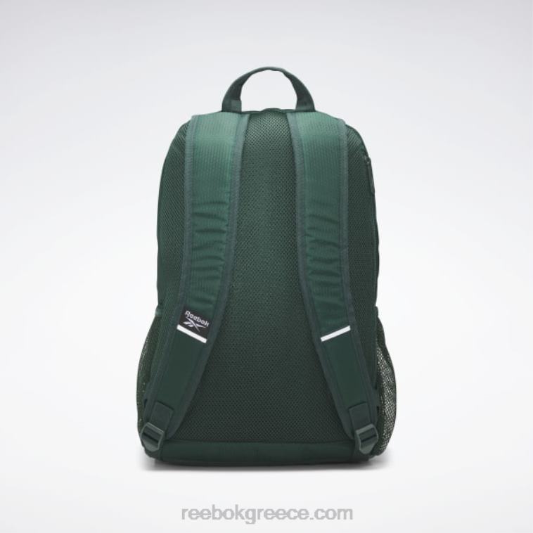 πολυ σακίδιο πλάτης wyatt Reebok ND8H595