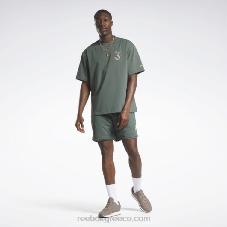 πράσινο κιμωλία T-shirt Reebok ND8H294