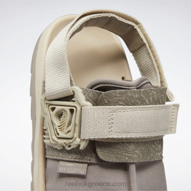 boulder grey / περγαμηνή / πλιγούρι βρώμης jurassic world beatnik διαφάνειες Reebok ND8H245