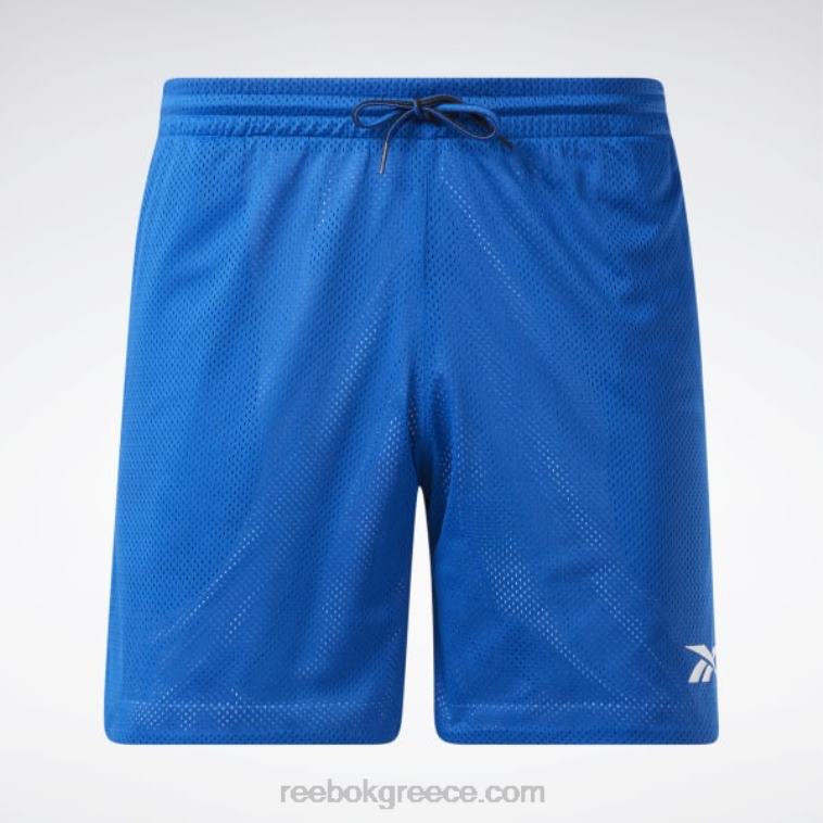 άνδρες διάνυσμα μπλε διχτυωτό σορτς city league Reebok ND8H1237