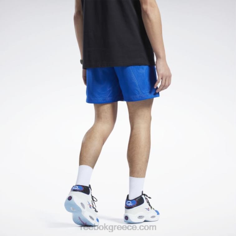 άνδρες διάνυσμα μπλε διχτυωτό σορτς city league Reebok ND8H1237
