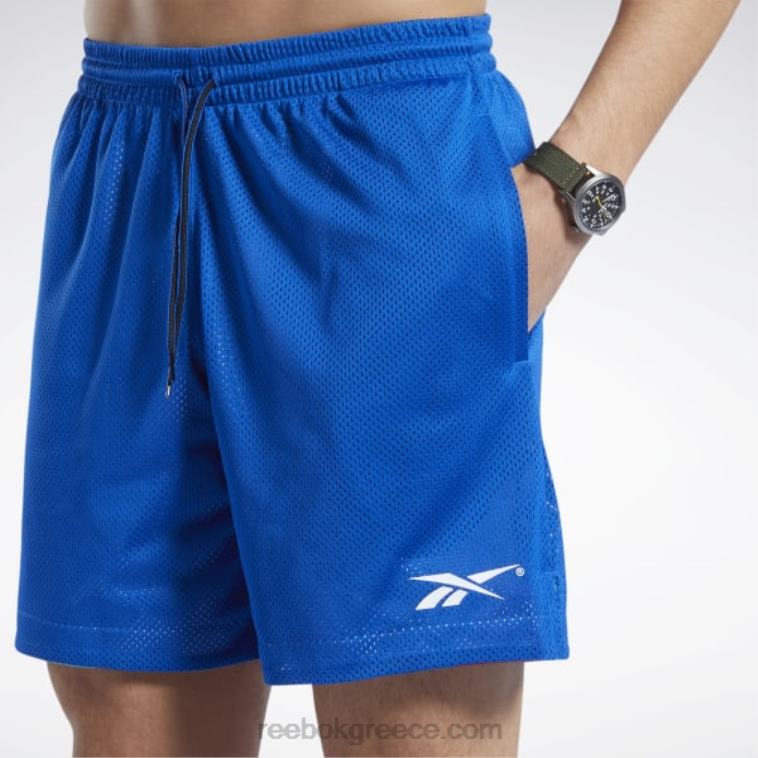 άνδρες διάνυσμα μπλε διχτυωτό σορτς city league Reebok ND8H1237