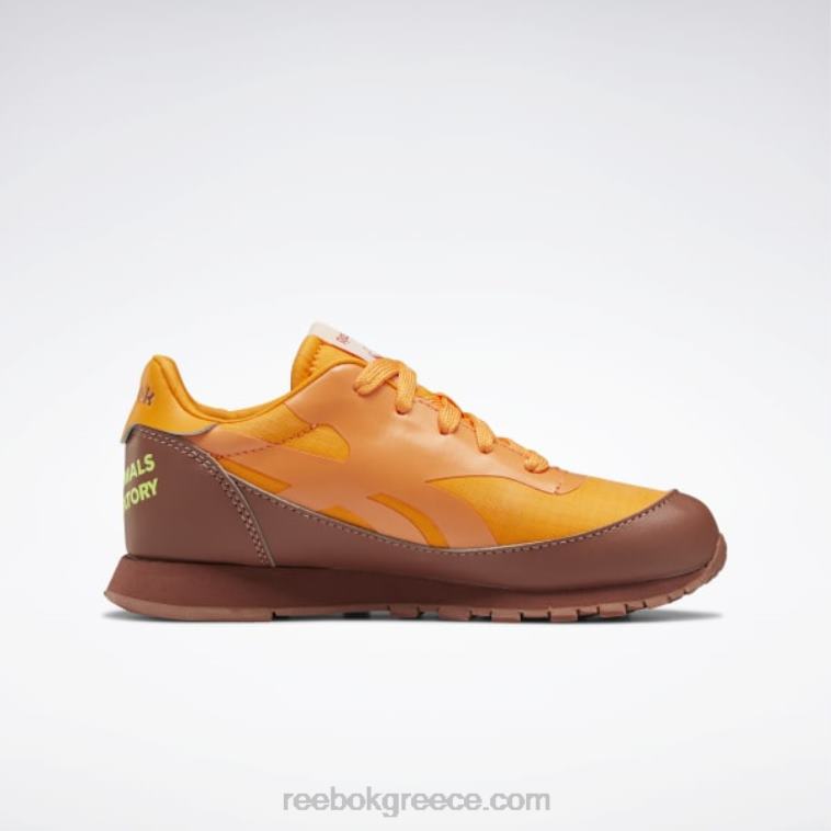 παιδιά boulder brown/έντονο πορτοκαλί/ηλιακό οξύ κίτρινο το αστεροσκοπείο ζώων κλασικά δερμάτινα παπούτσια - προσχολικής ηλικίας Reebok ND8H1415