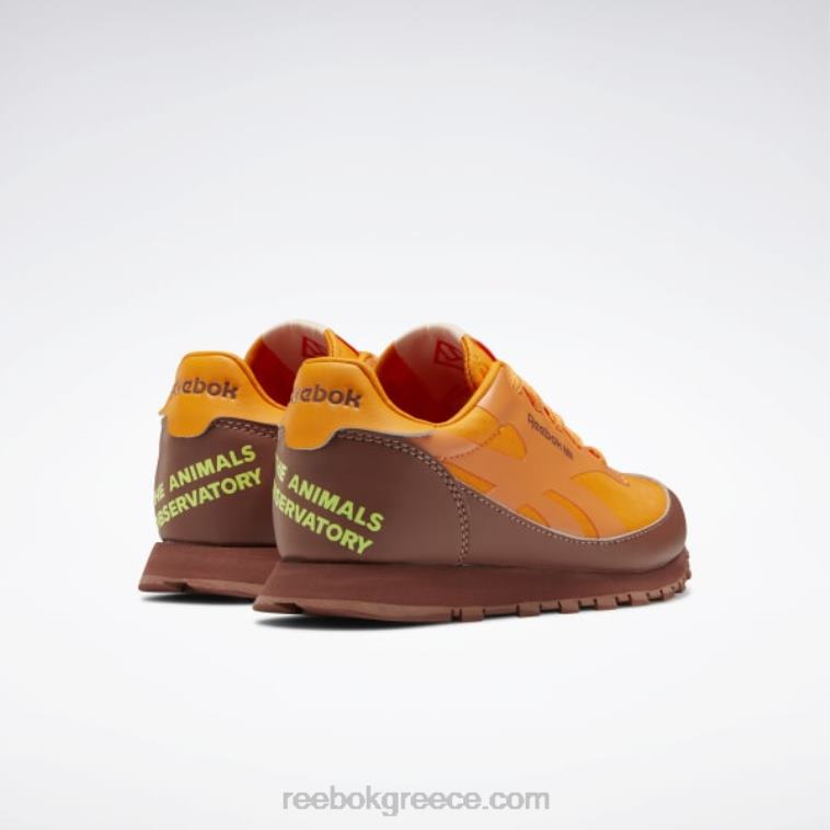 παιδιά boulder brown/έντονο πορτοκαλί/ηλιακό οξύ κίτρινο το αστεροσκοπείο ζώων κλασικά δερμάτινα παπούτσια - προσχολικής ηλικίας Reebok ND8H1415