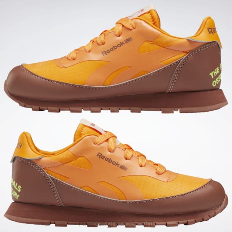 παιδιά boulder brown/έντονο πορτοκαλί/ηλιακό οξύ κίτρινο το αστεροσκοπείο ζώων κλασικά δερμάτινα παπούτσια - προσχολικής ηλικίας Reebok ND8H1415