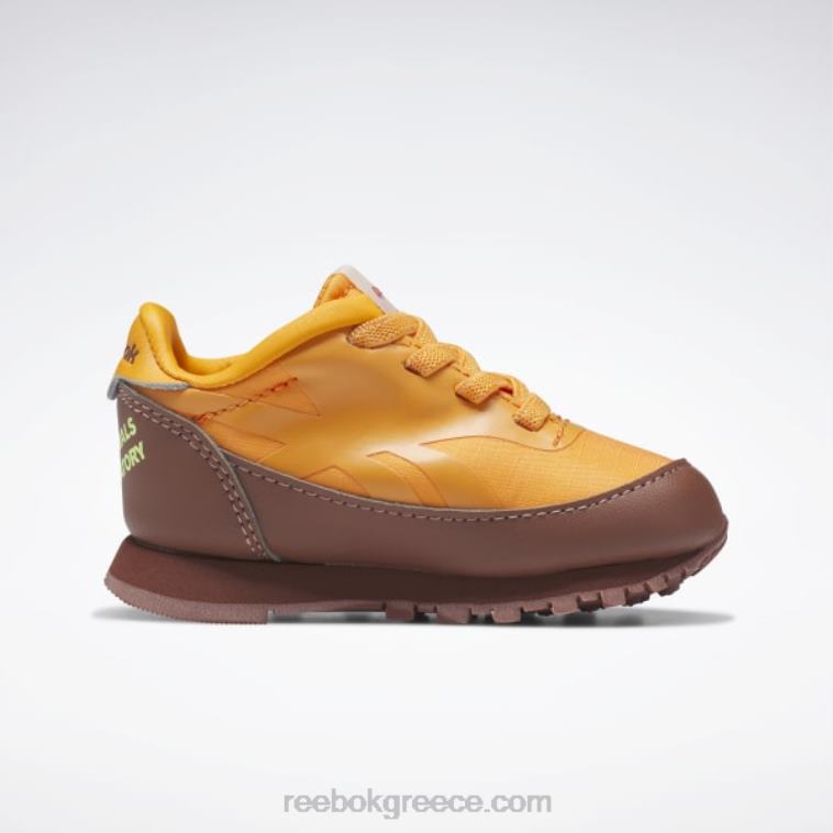 παιδιά boulder brown/έντονο πορτοκαλί/ηλιακό οξύ κίτρινο το αστεροσκοπείο ζώων κλασικά δερμάτινα παπούτσια - νήπιο Reebok ND8H1435