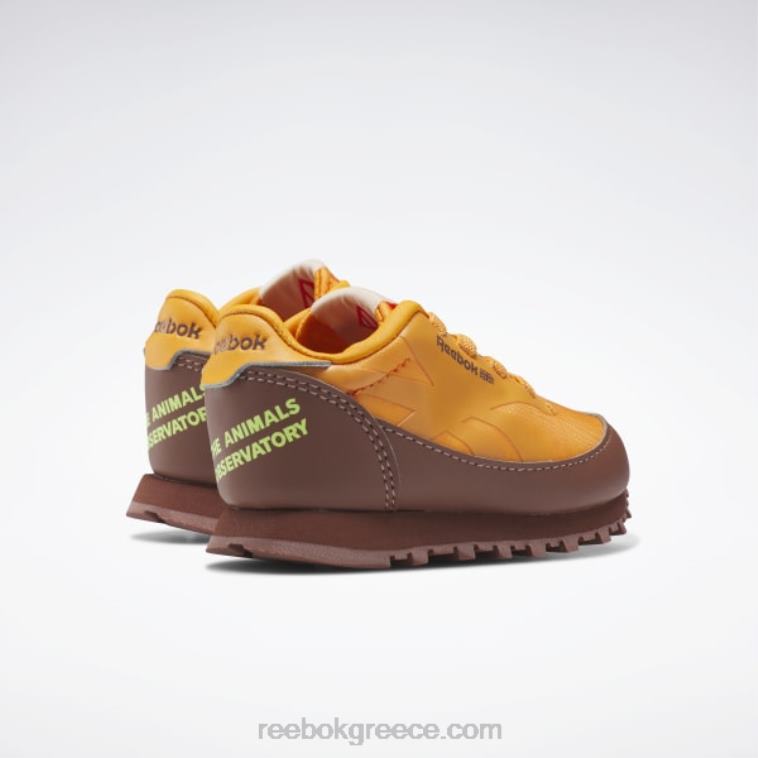 παιδιά boulder brown/έντονο πορτοκαλί/ηλιακό οξύ κίτρινο το αστεροσκοπείο ζώων κλασικά δερμάτινα παπούτσια - νήπιο Reebok ND8H1435