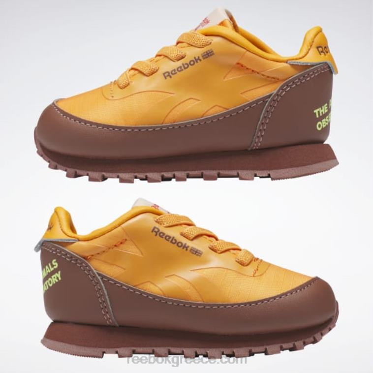 παιδιά boulder brown/έντονο πορτοκαλί/ηλιακό οξύ κίτρινο το αστεροσκοπείο ζώων κλασικά δερμάτινα παπούτσια - νήπιο Reebok ND8H1435